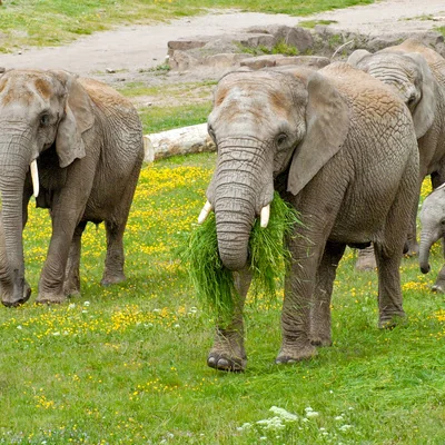 65 Jahre egapark: Erfurts Zeitreise durch die Gartenschau