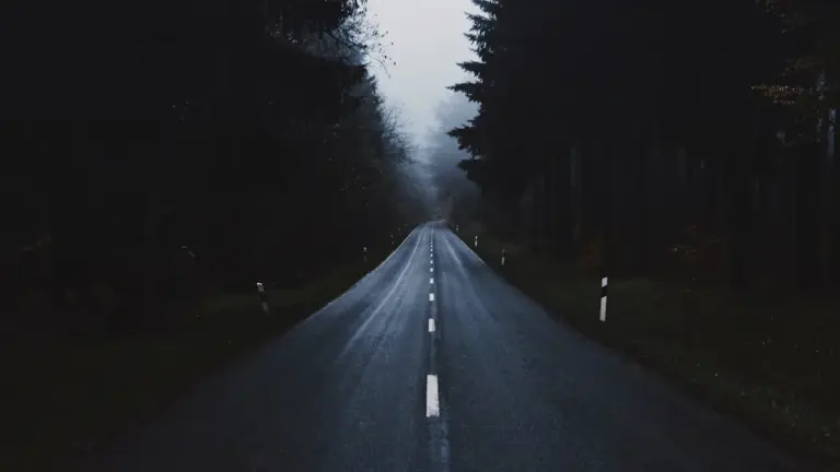 Eine graue Landstraße führt durch einen nebligen, herbstlichen Wald in Deutschland.