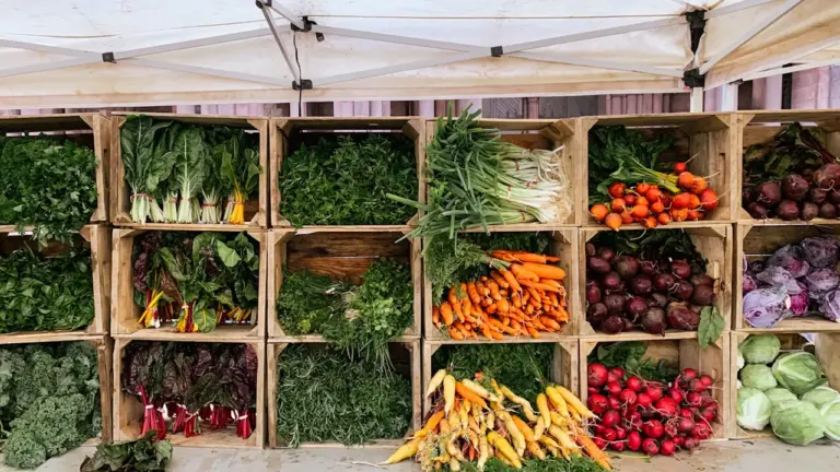 Vielfältige saisonale Gemüsesorten ordentlich präsentiert in rustikalen Holzkisten auf dem Markt.