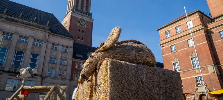 Kiels Bauern- und Regionalmarkt: Drei Tage Eintritt frei
