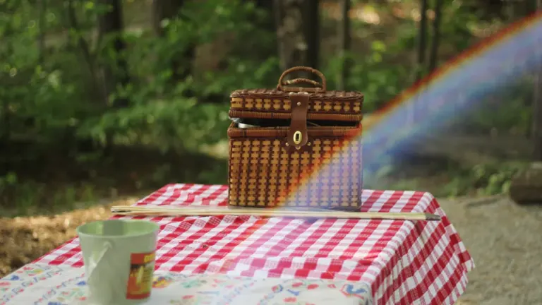 Paneuropäisches Picknick: Als sich der Eiserne Vorhang öffnete