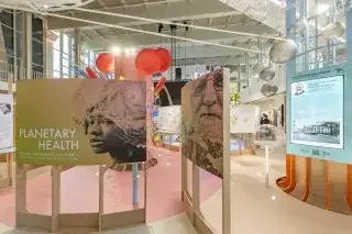 Planetary Health in München: Ausstellung am 15. August