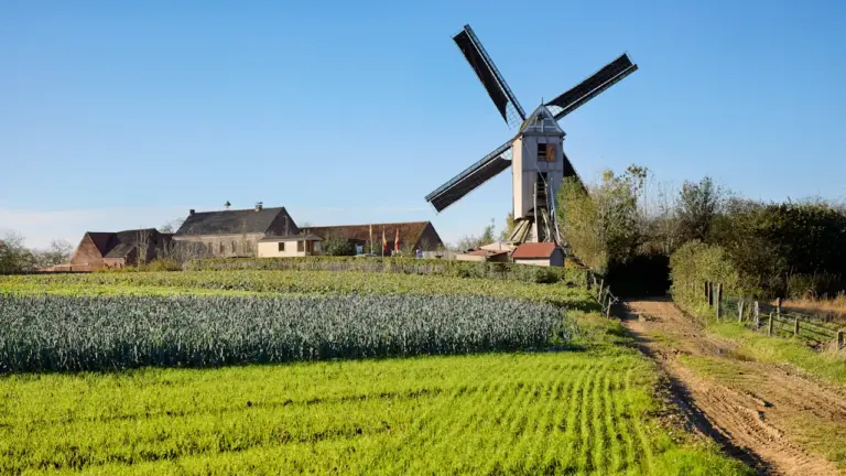 Traditionelle Windmühle in einer malerischen grünen Landschaft mit Bauernhof unter blauem Himmel.