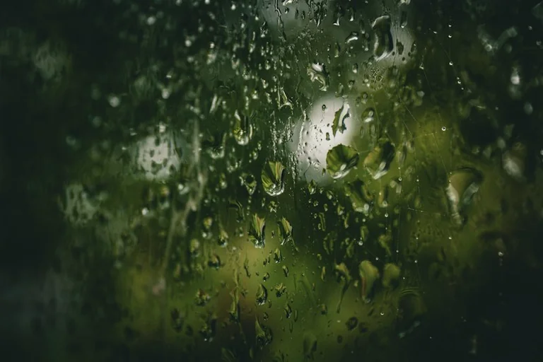 Von Regen träumen: Was das Traumbild bedeuten kann