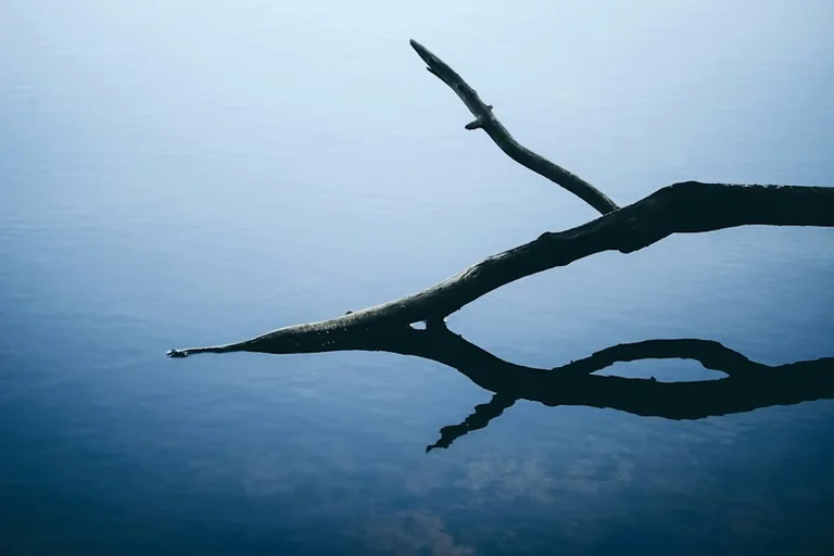 Wasser im Traum: Warum Szene und Gefühl die Deutung prägen